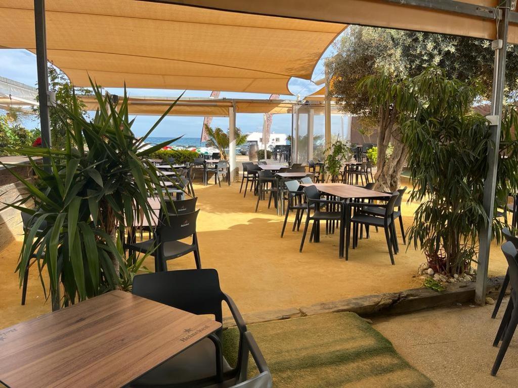 Beach Apartment Amalia Torrevieja Exterior photo